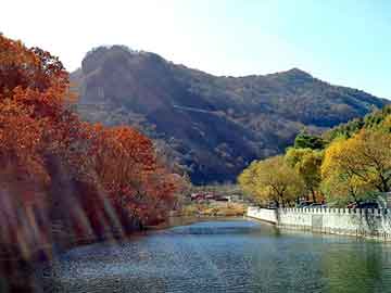 宁夏建材收购案最新进展揭秘