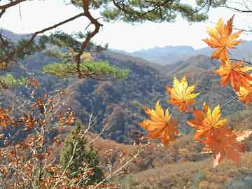 黄山游玩攻略大揭秘，最新登山路线与景点推荐！