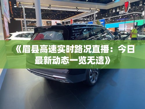 达官贵人 第5页