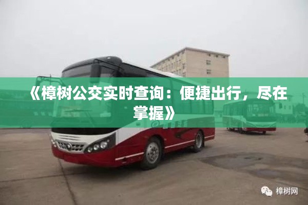 勤勤恳恳 第5页