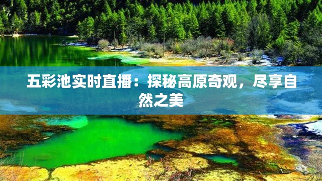 干混砂浆 第263页