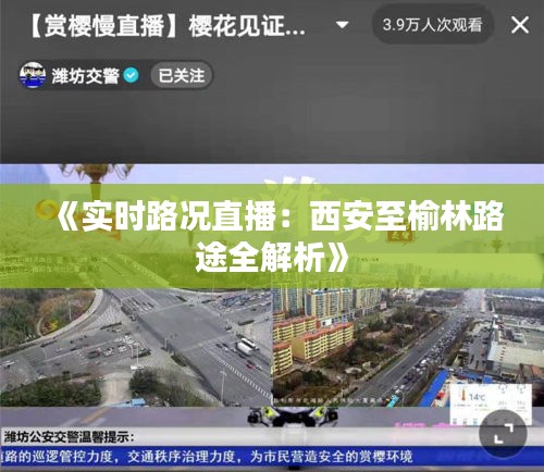 益胶泥 第263页