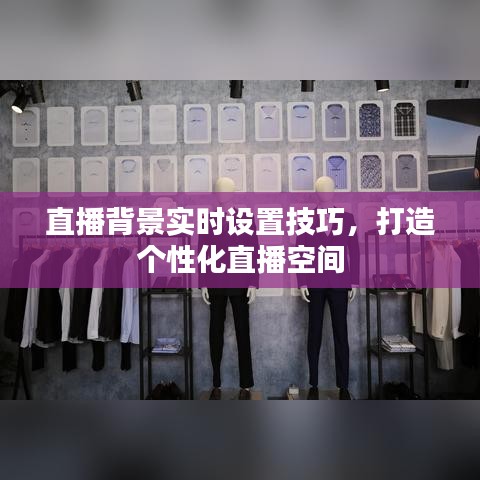 公司简介 第262页