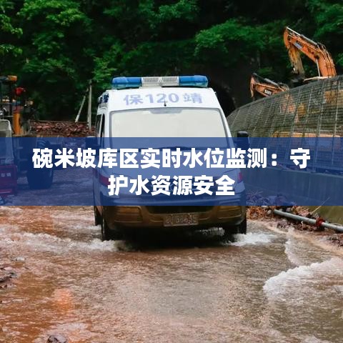 益胶泥 第262页