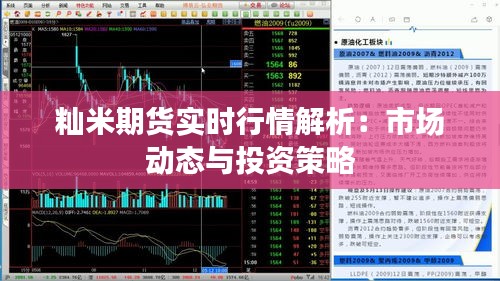 籼米期货实时行情解析：市场动态与投资策略