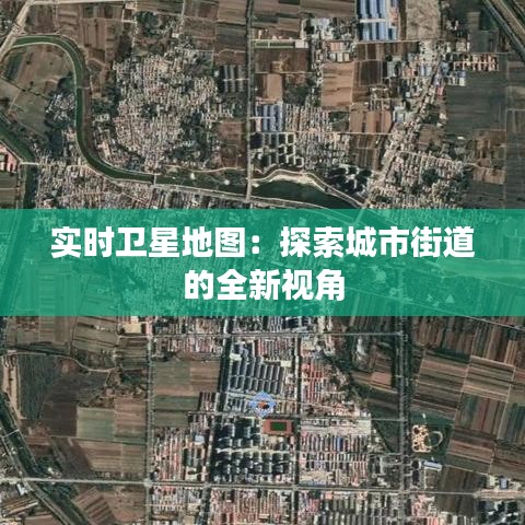 益胶泥 第258页