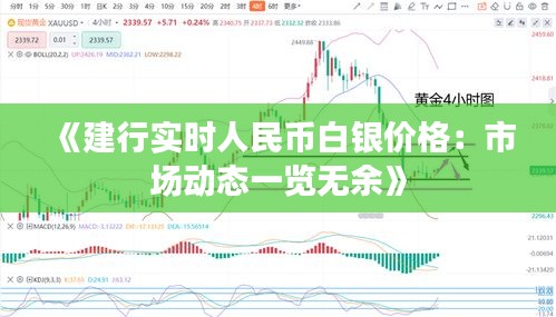 《建行实时人民币白银价格：市场动态一览无余》