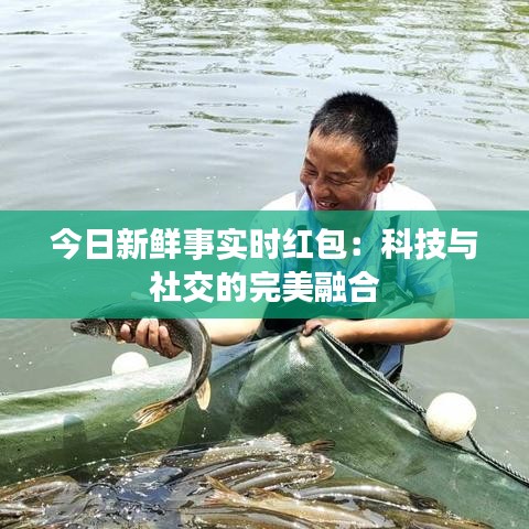 今日新鲜事实时红包：科技与社交的完美融合