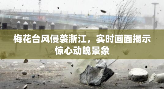 梅花台风侵袭浙江，实时画面揭示惊心动魄景象