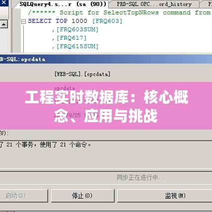 越鸟南栖 第5页