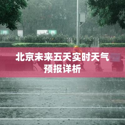 夸夸其谈 第5页