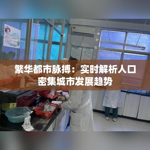 繁华都市脉搏：实时解析人口密集城市发展趋势
