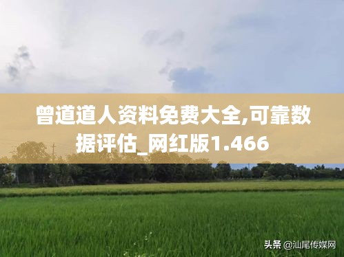 曾道道人资料免费大全,可靠数据评估_网红版1.466