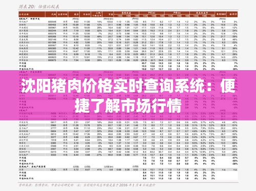 沈阳猪肉价格实时查询系统：便捷了解市场行情