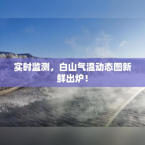 瑞雪飞舞 第4页