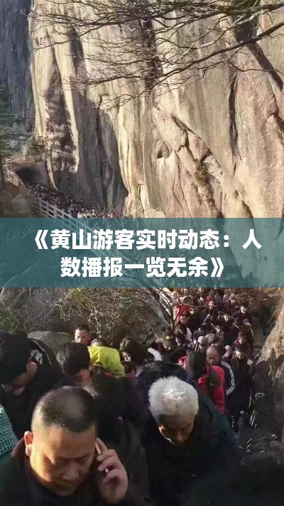 《黄山游客实时动态：人数播报一览无余》