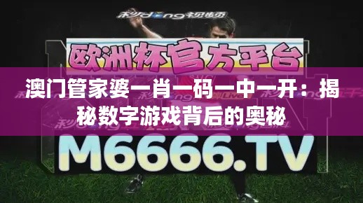 澳门管家婆一肖一码一中一开：揭秘数字游戏背后的奥秘