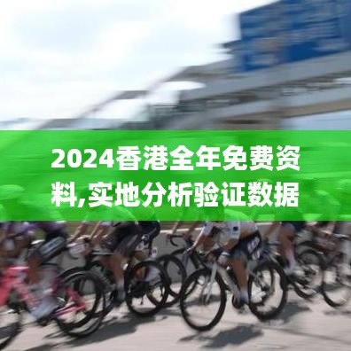 2024香港全年免费资料,实地分析验证数据_旗舰款3.507