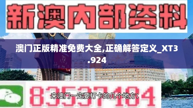 澳门正版精准免费大全,正确解答定义_XT3.924