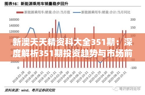 新澳天天精资科大全351期：深度解析351期投资趋势与市场前景