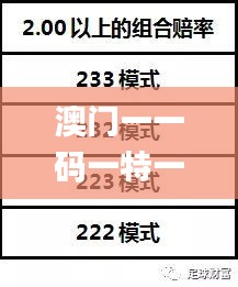 澳门一一码一特一中准选今晚,实效设计解析策略_网红版1.648
