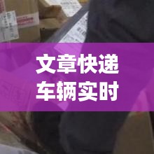 质而不俚 第4页
