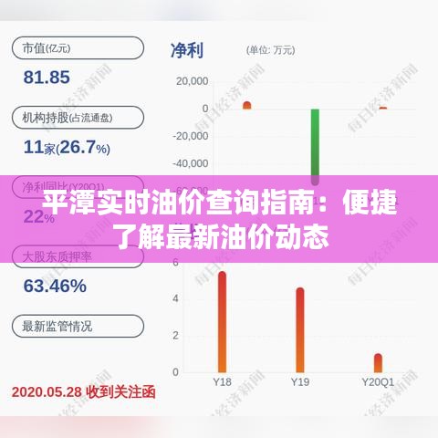 平潭实时油价查询指南：便捷了解最新油价动态