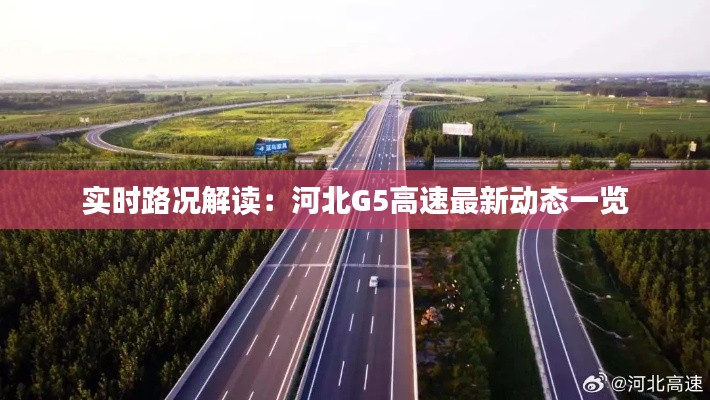 开张圣听 第3页