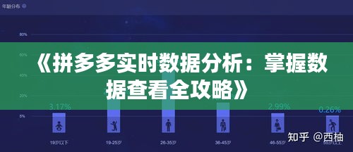《拼多多实时数据分析：掌握数据查看全攻略》