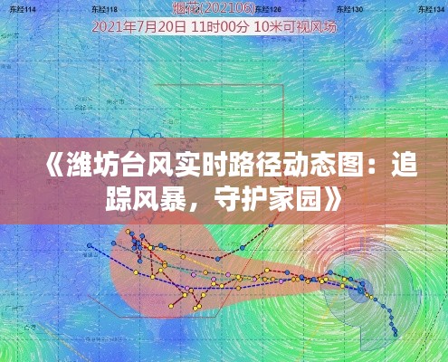 《潍坊台风实时路径动态图：追踪风暴，守护家园》