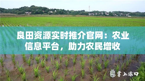 碧瓦飞甍 第4页