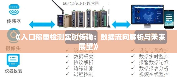 《入口称重检测实时传输：数据流向解析与未来展望》