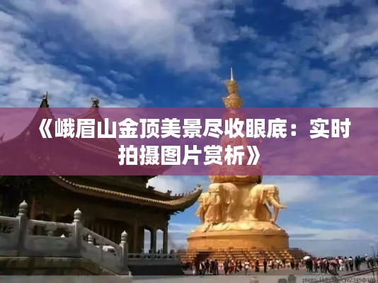 勇往直前 第4页