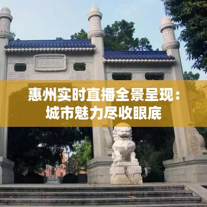 惠州实时直播全景呈现：城市魅力尽收眼底