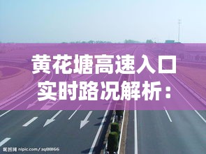 鸷鸟不群 第4页