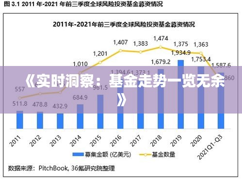 《实时洞察：基金走势一览无余》
