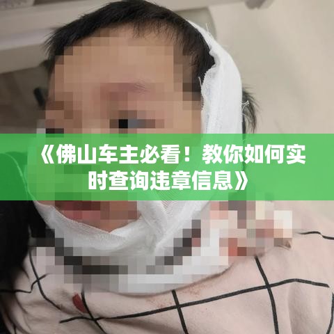 《佛山车主必看！教你如何实时查询违章信息》