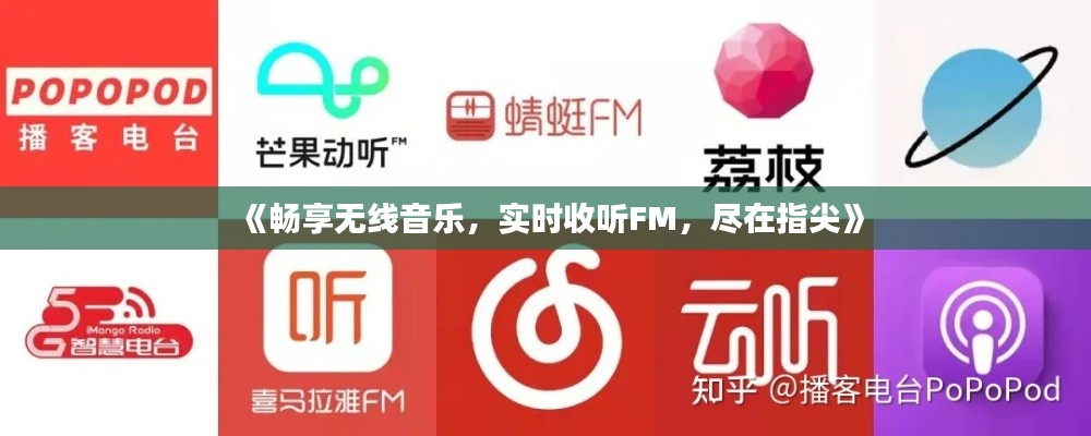 《畅享无线音乐，实时收听FM，尽在指尖》