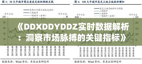 《DDXDDYDDZ实时数据解析：洞察市场脉搏的关键指标》