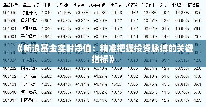《新浪基金实时净值：精准把握投资脉搏的关键指标》