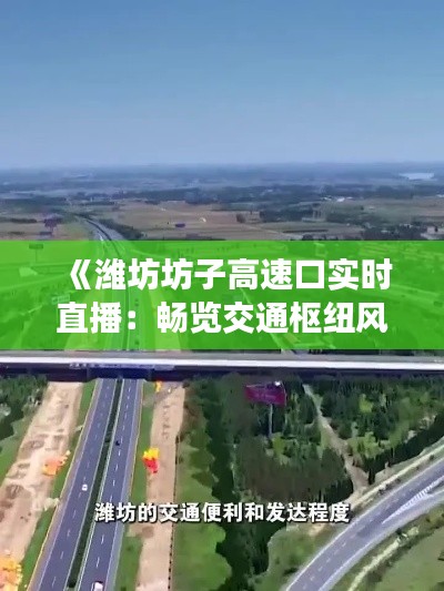 美如冠玉 第3页