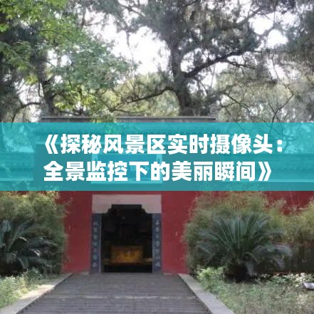 花开无言 第3页