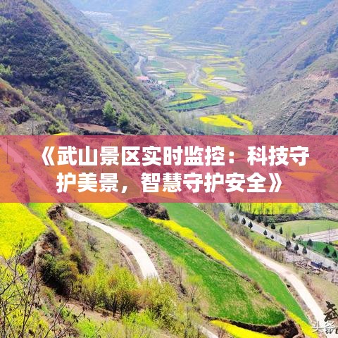 《武山景区实时监控：科技守护美景，智慧守护安全》