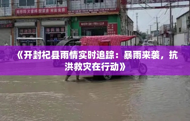 《开封杞县雨情实时追踪：暴雨来袭，抗洪救灾在行动》