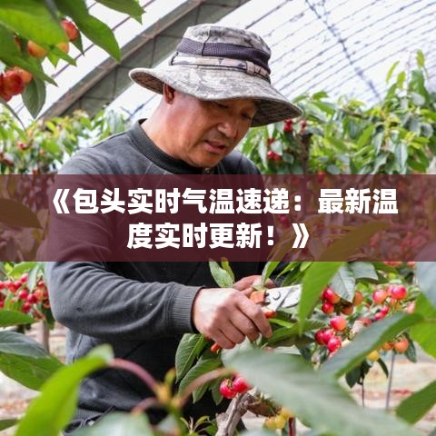 轻徙鸟举 第3页