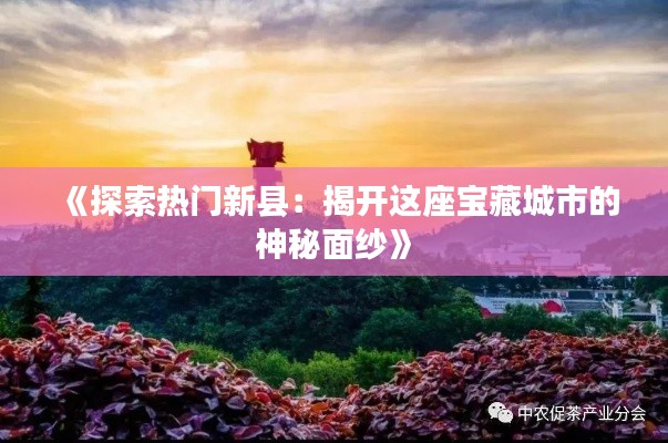 《探索热门新县：揭开这座宝藏城市的神秘面纱》