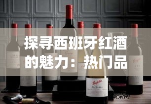 纲举目张 第3页