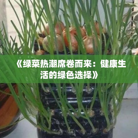 《绿菜热潮席卷而来：健康生活的绿色选择》