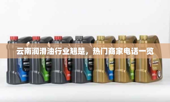 津津有味 第4页
