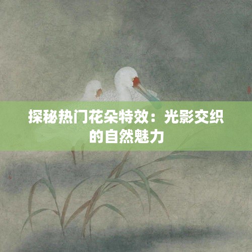 探秘热门花朵特效：光影交织的自然魅力